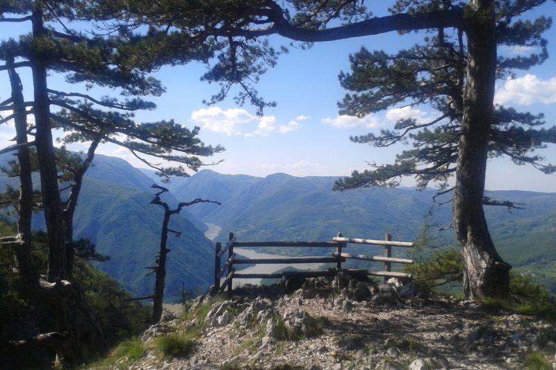 Izleti relax apartmani tara banjska stena