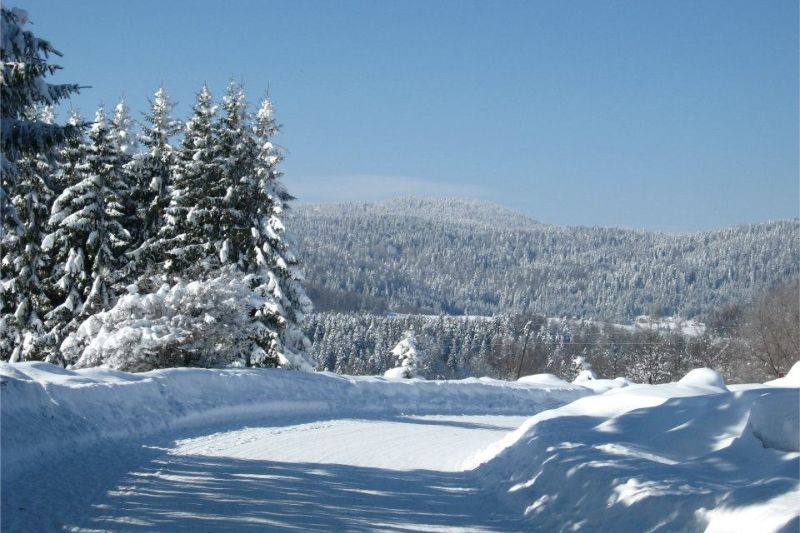 Izleti relax apartmani tara kaluđerske bare zimski pejzaž