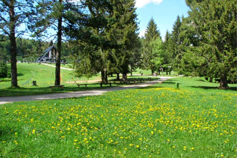 Izleti relax apartmani tara mitrovac