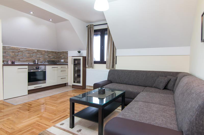 relax tara apartmani a2 (2)