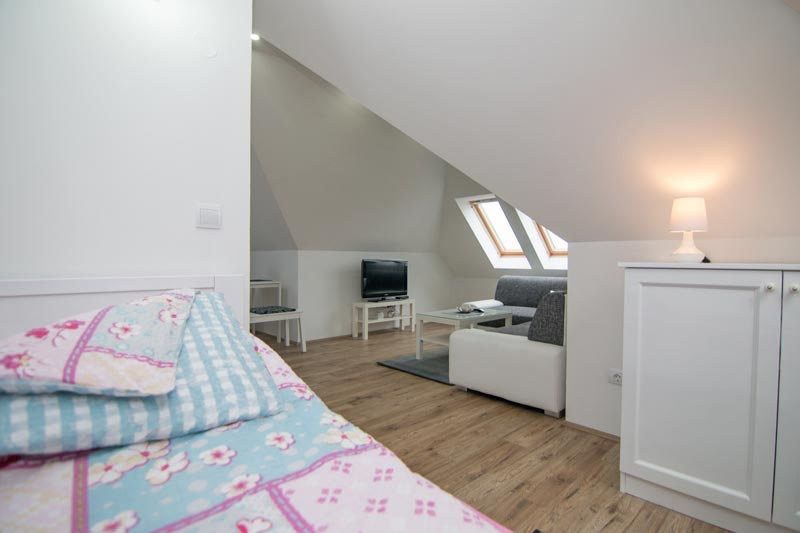 relax tara apartmani a4 (6)